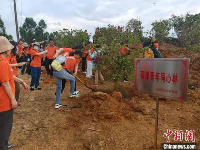 第十一屆臺(tái)灣青年嶺南行潮汕文化尋根營在汕尾開營