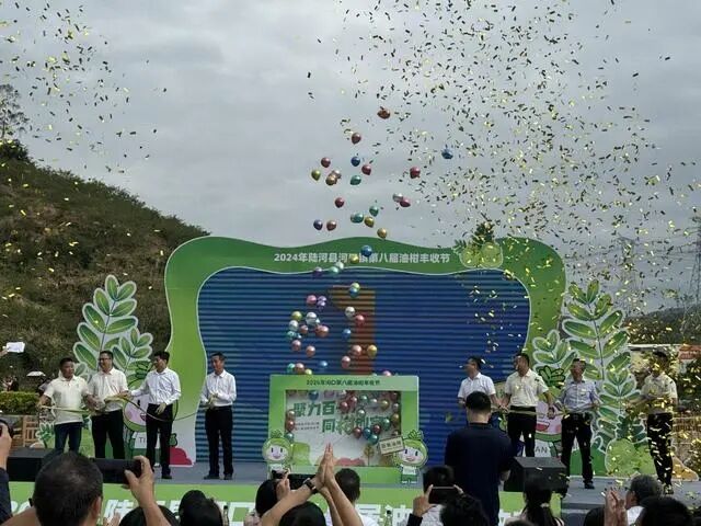 小油柑帶動(dòng)大致富，汕尾陸河田墩變“甜”墩