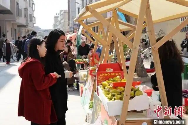 廣東潮州“楊桃盛宴”引來(lái)八方客