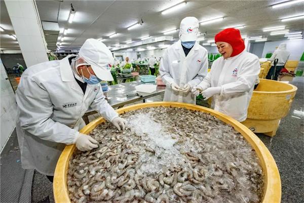 “魚鮮蟹肥”撲騰出海！汕頭海關助牛田洋水產出口