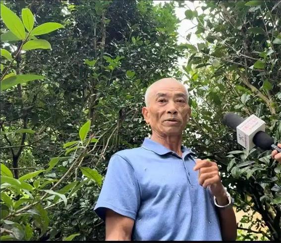 潮州市以“四個(gè)+”打好監(jiān)督“組合拳” 守護(hù)鳳凰山“高顏值”生態(tài)綠
