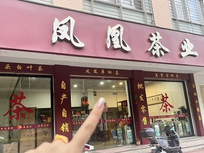鳳凰茶業(yè)